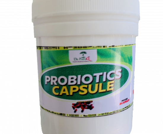 Probiotics capsule